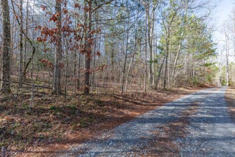 Lot 50 Tranquility @ Carters Lake Ellijay GA 30540