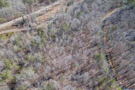 Lot 50 Tranquility @ Carters Lake Ellijay GA 30540