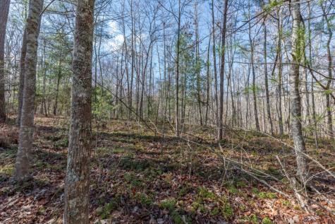 Lot 50 Tranquility @ Carters Lake Ellijay GA 30540
