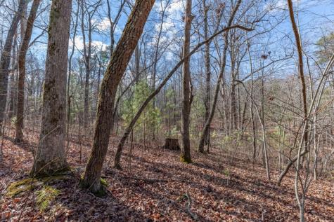 Lot 50 Tranquility @ Carters Lake Ellijay GA 30540