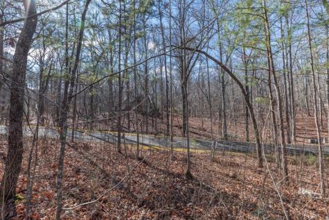 Lot 50 Tranquility @ Carters Lake Ellijay GA 30540
