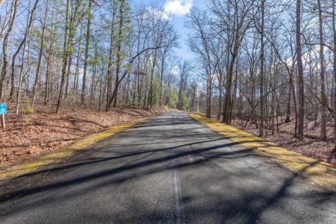 Lot 50 Tranquility @ Carters Lake Ellijay GA 30540