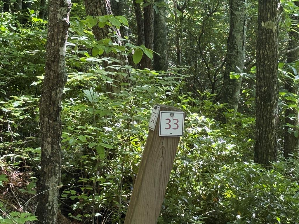 Lot 33 Fodder Creek Mill Drive Hiawassee GA 30546