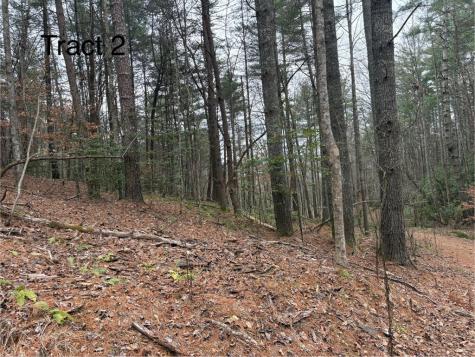 Tract 2 Fain Branch Road Blairsville GA 30512