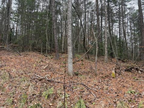 Tract 2 Fain Branch Road Blairsville GA 30512