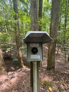 268 14th Street Ellijay GA 30540