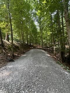 268 14th Street Ellijay GA 30540