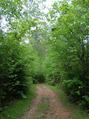 7.52 Ac. Hicks Ford Road Ellijay GA 30540