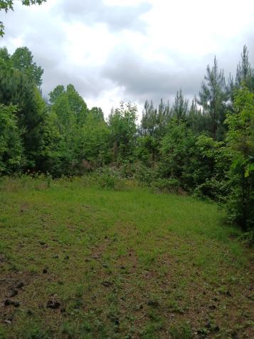 7.52 Ac. Hicks Ford Road Ellijay GA 30540