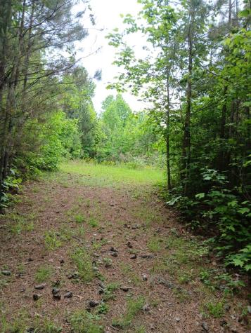 7.52 Ac. Hicks Ford Road Ellijay GA 30540