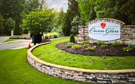 Lt117 Owen Glen Drive Blairsville GA 30512