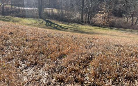 Lt117 Owen Glen Drive Blairsville GA 30512