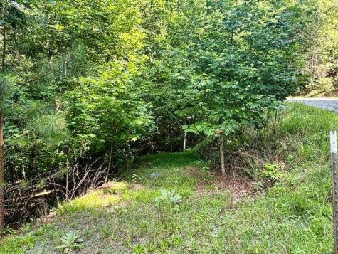 Lot 26 Toccoa Preserve Blue Ridge GA 30513