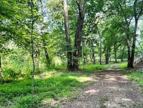 Lot 26 Toccoa Preserve Blue Ridge GA 30513