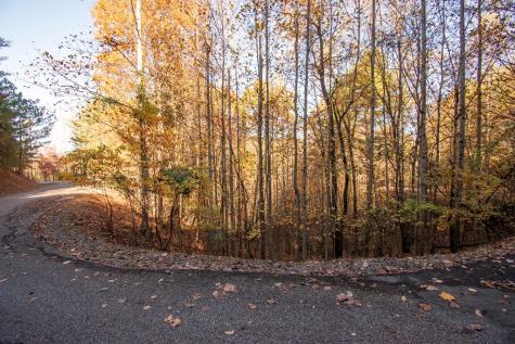 Lot 66 Choctaw Ridge Trail Murphy NC 28906
