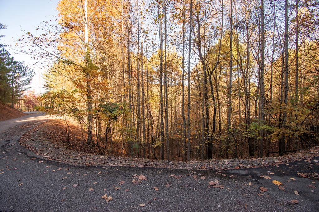 Lot 66 Choctaw Ridge Trail Murphy NC 28906