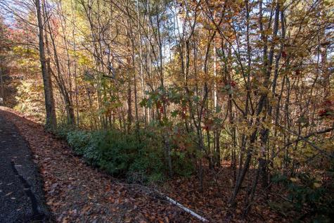 Lot 66 Choctaw Ridge Trail Murphy NC 28906