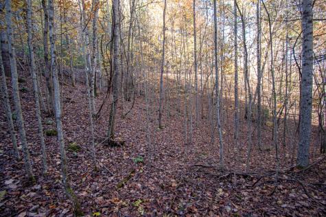 Lot 66 Choctaw Ridge Trail Murphy NC 28906