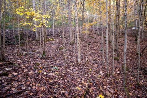 Lot 66 Choctaw Ridge Trail Murphy NC 28906