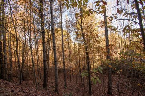 Lot 66 Choctaw Ridge Trail Murphy NC 28906