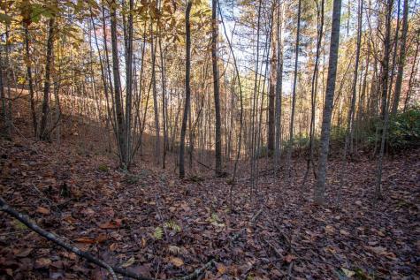 Lot 66 Choctaw Ridge Trail Murphy NC 28906