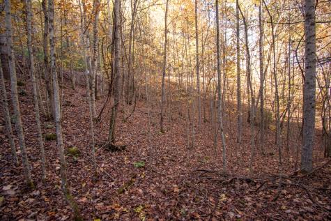 Lot 66 Choctaw Ridge Trail Murphy NC 28906