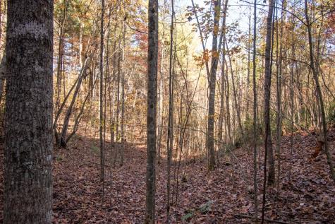 Lot 66 Choctaw Ridge Trail Murphy NC 28906