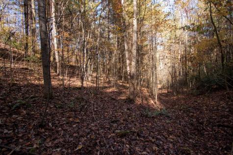 Lot 66 Choctaw Ridge Trail Murphy NC 28906