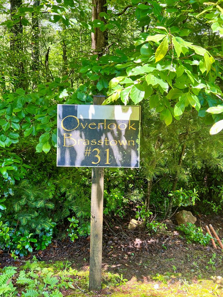 #31 Fiddlers Way Murphy NC 28906