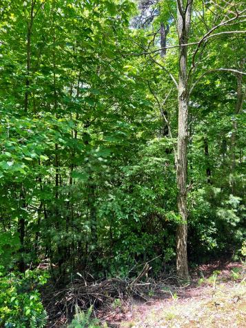 #31 Fiddlers Way Murphy NC 28906