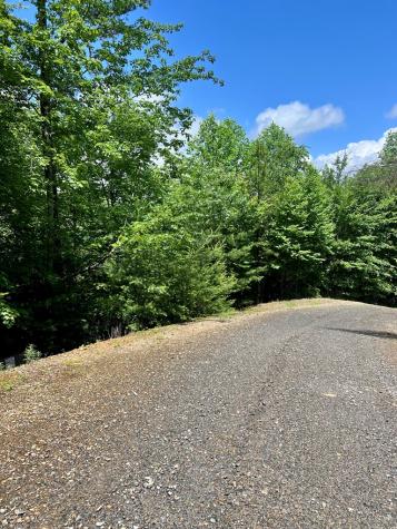 #31 Fiddlers Way Murphy NC 28906