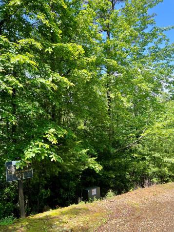 #31 Fiddlers Way Murphy NC 28906