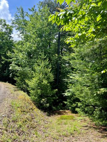 #31 Fiddlers Way Murphy NC 28906