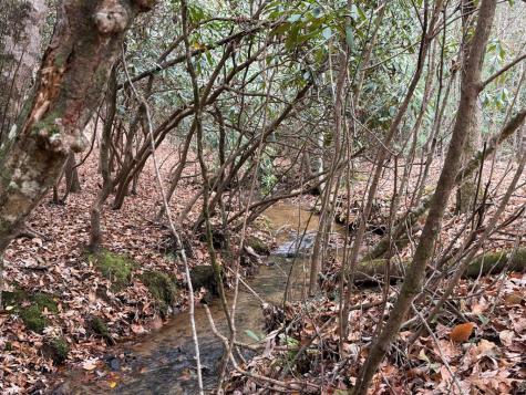 5.57 Ac Mitchell Branch Road Morganton GA 30560