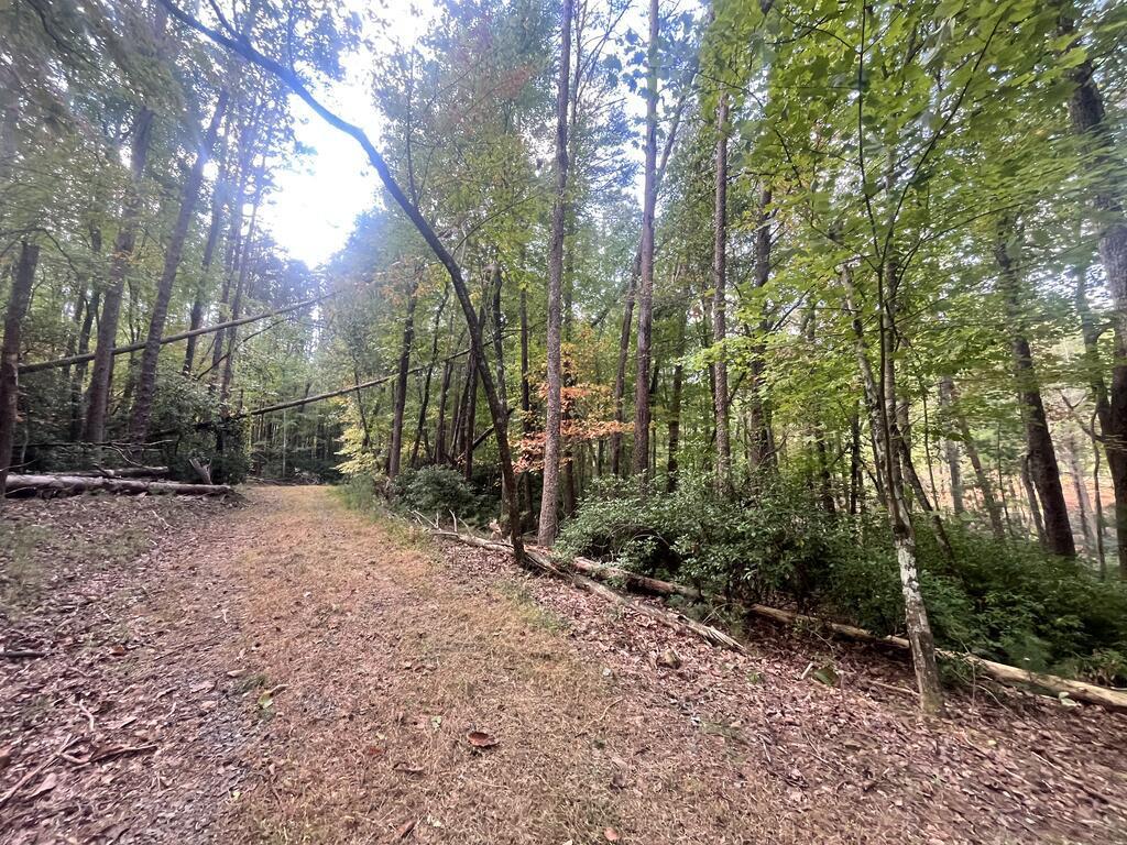 Tr 1 Turniptown Road Ellijay GA 30536