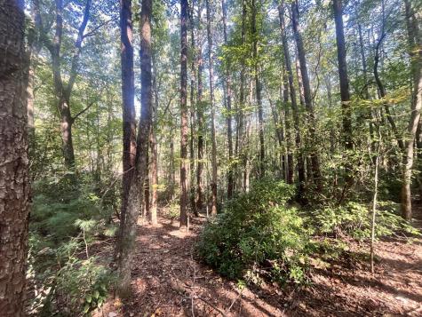 Tr 1 Turniptown Road Ellijay GA 30536