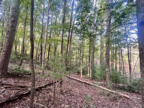 Tr 1 Turniptown Road Ellijay GA 30536