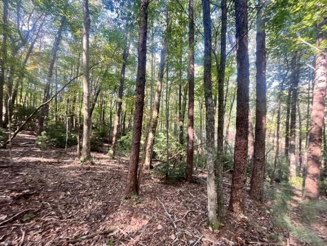 Tr 1 Turniptown Road Ellijay GA 30536