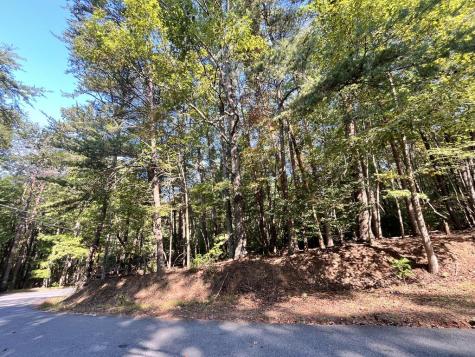 Tr 1 Turniptown Road Ellijay GA 30536