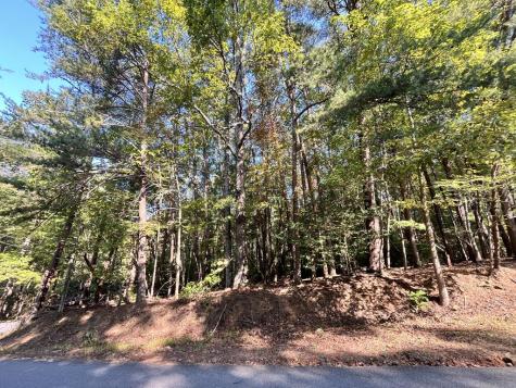 Tr 1 Turniptown Road Ellijay GA 30536