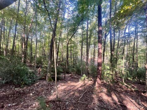 Tr 1 Turniptown Road Ellijay GA 30536