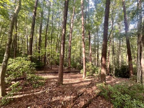Tr 1 Turniptown Road Ellijay GA 30536