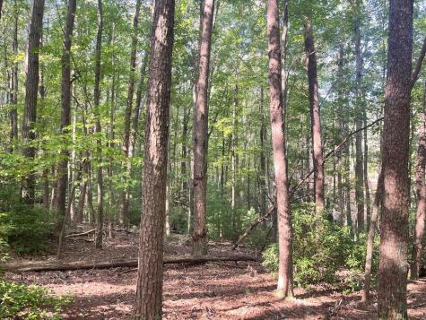 Tr 1 Turniptown Road Ellijay GA 30536
