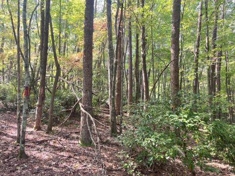 Tr 1 Turniptown Road Ellijay GA 30536