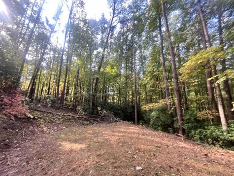 Tr 1 Turniptown Road Ellijay GA 30536