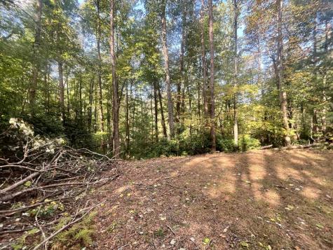 Tr 1 Turniptown Road Ellijay GA 30536