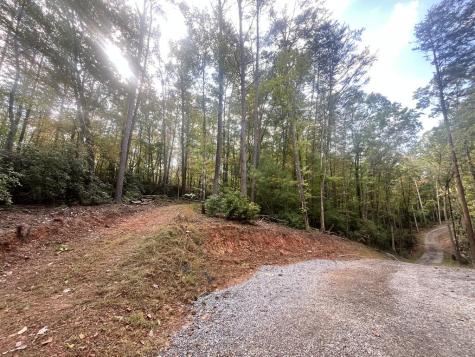 Tr 1 Turniptown Road Ellijay GA 30536