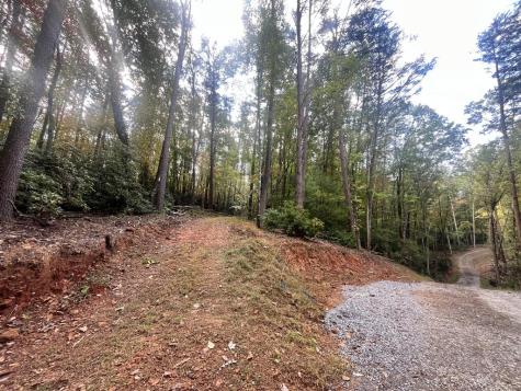 Tr 1 Turniptown Road Ellijay GA 30536