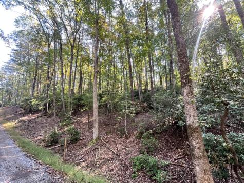 Tr 1 Turniptown Road Ellijay GA 30536