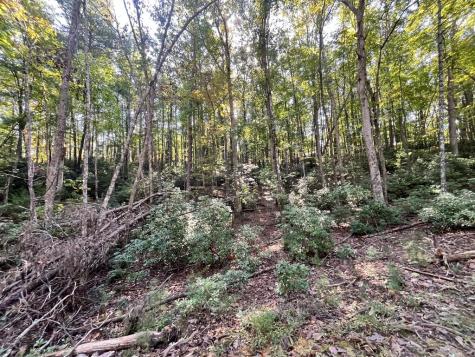 Tr 1 Turniptown Road Ellijay GA 30536
